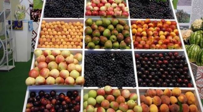 Antalya'dan 449 milyon dolarlık yaş sebze ve meyve ihracatı