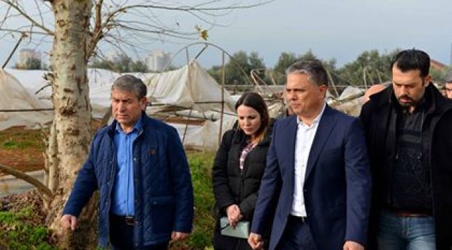 Başkan Uysal, hortumun yıktığı seralarda incelemelerde bulundu