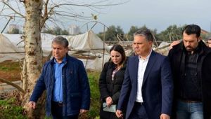 Başkan Uysal, hortumun yıktığı seralarda incelemelerde bulundu