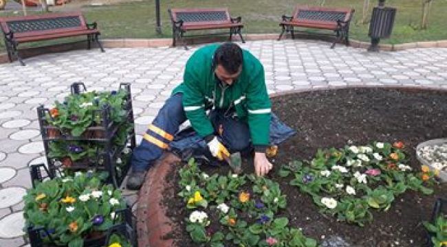 BİNLERCE MEVSİMLİK ÇİÇEK DİKİLDİ