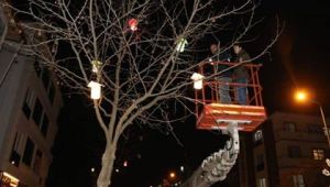 Ağaç Fenerlerine Bakım Yapıldı