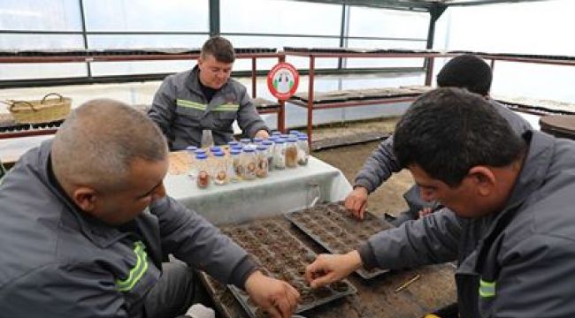 Atalarımızın Tohumları, Toprakla Buluşacak