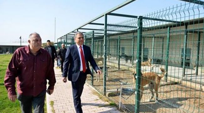 Başkan Uysal barınakta incelemede bulundu