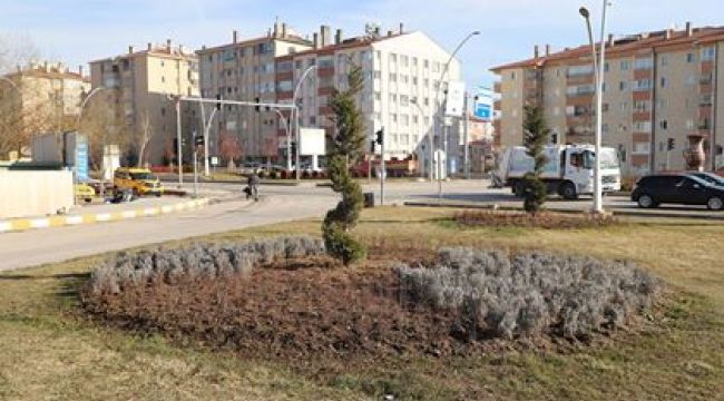 Çankırı'da Budama Çalışmaları Başladı