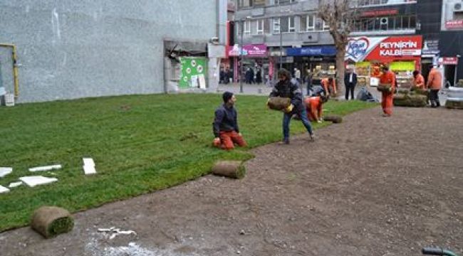 Eski Belediye Binası Alanında Çimlendirme Çalışmalarına Başlandı