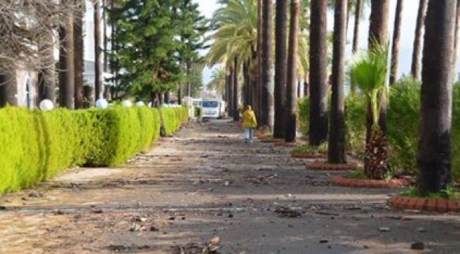 FIRTINA SONRASI TEMİZLİK BAŞLADI