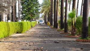 FIRTINA SONRASI TEMİZLİK BAŞLADI