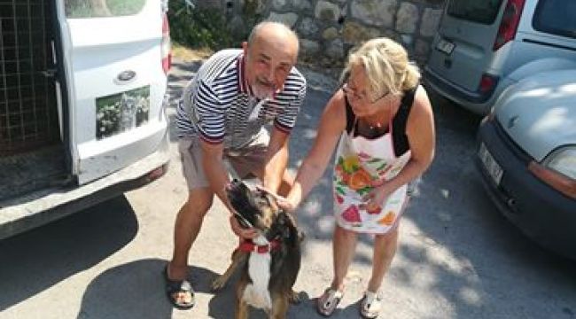 FOÇA'DA, CAN DOSTLAR EMİN ELLERDE