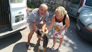 FOÇA'DA, CAN DOSTLAR EMİN ELLERDE