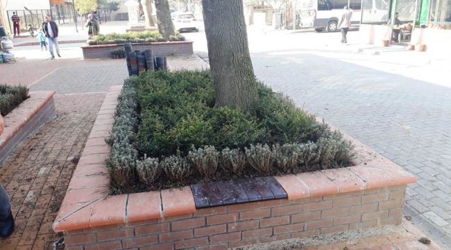   KÖRFEZ'DEKİ MEYDAN BİTKİLENDİRİLDİ