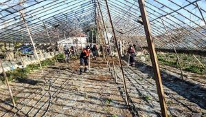 Muratpaşa Belediyesi yaraları sarıyor