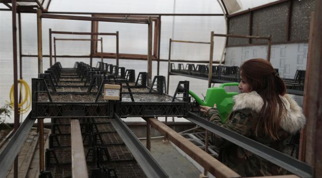 NEVŞEHİR BELEDİYESİ SERA BİTKİLERİ YETİŞTİRİYOR