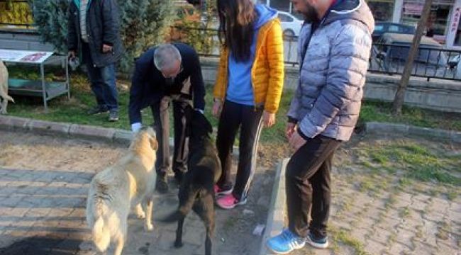 Sokak Hayvanları için besleme odakları ve bayat ekmek kutuları yerleştirildi