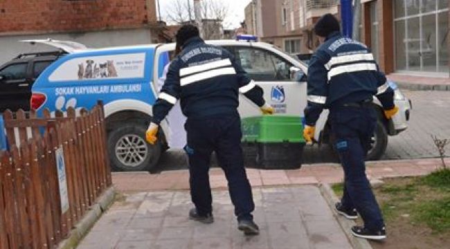 YUNUSEMRE'DE HAYVAN AMBULANSI HİZMET BAŞLADI 