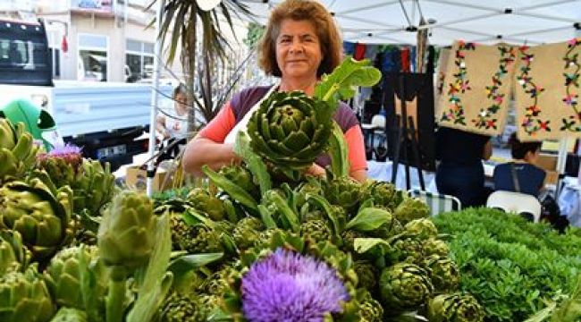 5. Enginar Festivali hazırlıkları başladı 