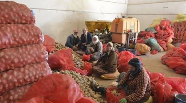 8 MART DÜNYA KADINLAR GÜNÜ PROGRAMI 