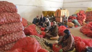 8 MART DÜNYA KADINLAR GÜNÜ PROGRAMI 