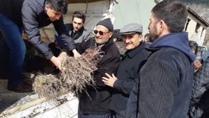 Adana Büyükşehir Belediye Başkanı ve Cumhur İttifakı Adayı Hüseyin Sözlü, Pozantı ve Saimbeyli ilçelerinde yaşayan milletin efendilerine bir yılda 28 bin adet aşılı üzüm fidanı dağıttı. Toroslar üzüm diyarına dönüşüyor