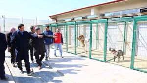 BAŞKAN AK YENİ HAYVAN BARINAĞINI İNCELEDİ