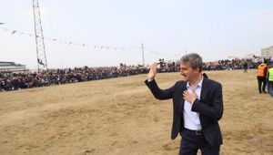 Başkan Şirin'e Geleneksel Deve Güreşlerinde Yoğun İlgi 