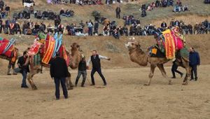 Başkan Şirin "Geleneksel Deve Güreşlerine Tüm Hemşerilerimiz Davetlidir" 