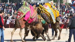 BAYRAKLI'DA GELENEK 8'İNCİ YILINDA