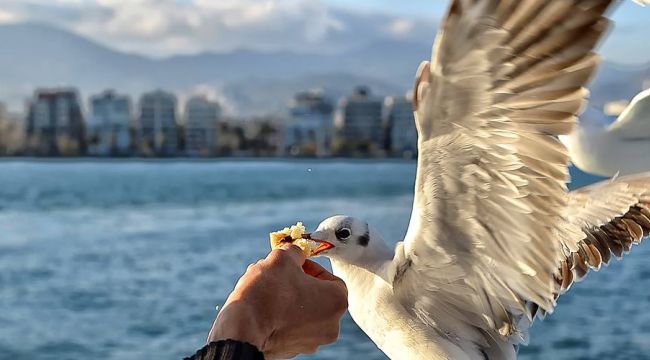 Büyük Şehir Belediyesi, İzmir' in En Büyük Hayalini Gerçekleştiriyor 