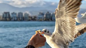 Büyük Şehir Belediyesi, İzmir' in En Büyük Hayalini Gerçekleştiriyor 