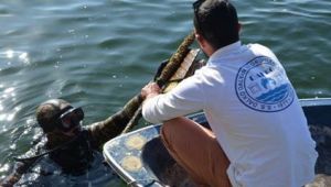 KÖYCEĞİZ KORDONUNDA BİR UÇTAN DİĞER UCA KADAR GÖLÜN DİP TEMİZLİĞİ OPERASYONU!