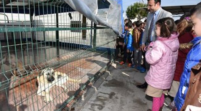 Öğrenciler Hayvan Bakım ve Tedavi Merkezi'ni Ziyaret Ettiler