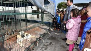 Öğrenciler Hayvan Bakım ve Tedavi Merkezi'ni Ziyaret Ettiler