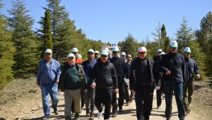 Orman Haftasında Doğa Yüyüşü Düzenlendi