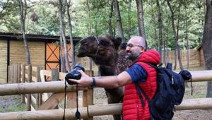 Ormanya"Kamununuyguladığı en iyi proje" ödülünü aldı