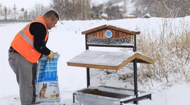 SOKAK HAYVANLARI İÇİN BESLENME ODAKLARINA MAMA BIRAKILDI