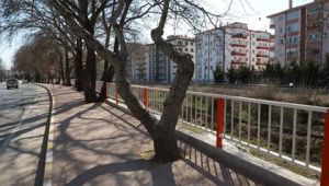 Tatlıçay Kenarındaki Korkulukların Montajı Tamamlandı