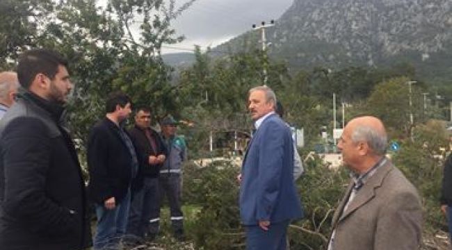 AKP Muğla İl Başkanı Kadem Mete Akbük Koyu'nda kesilen ağaçlarla ilgili açıklamalarda bulundu