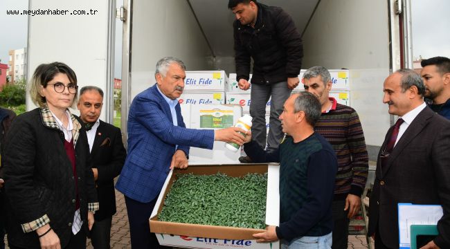  Başkan Karalar'dan köylüye domates fidesi desteği 