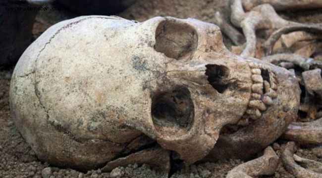 Bilim adamlarını heyecanlandıran keşif! Bulunan fosiller yeni bir insan türüne ait!