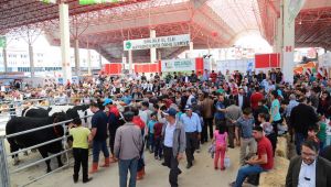 Burdur Fuarı'ndan üreticiye tam destek