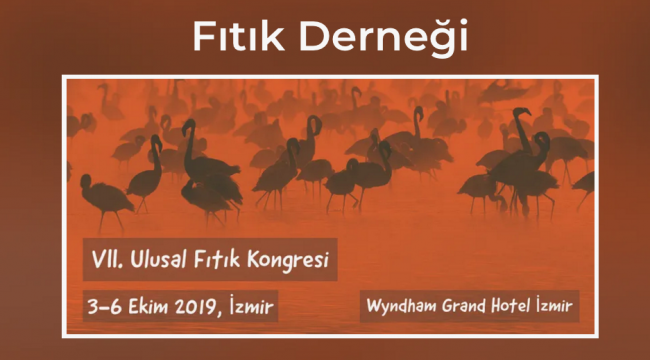 "Fıtık" uzmanı cerrahlar İzmir'de buluşacak