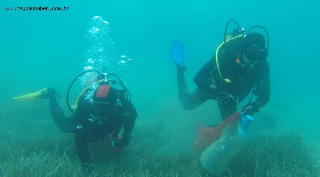  Gölköy'de deniz dibi temizliği