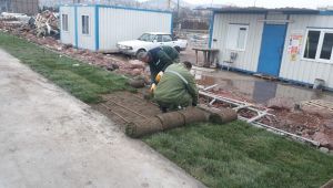 Kocaeli Kongre Merkezi yeşillendirildi