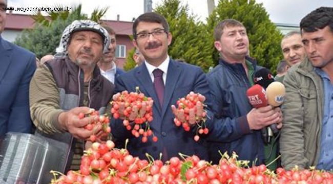 KUZEY YARIM KÜRENİN İLK KİRAZI KİLOSU 250 LİRADAN SATILDI