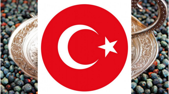 Menengiç nedir? Menengiçin faydaları neler?