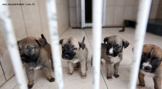 *Yaşar, "Konunun takipçisi olacağız"