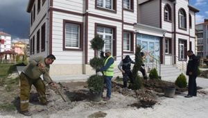 "Yeşil bir Çorum için çalışıyoruz"