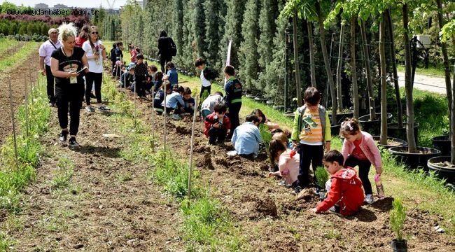 205 ÇAM FİDANI TOPRAKLA BULUŞTU