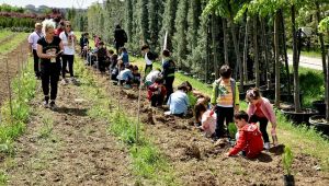 205 ÇAM FİDANI TOPRAKLA BULUŞTU