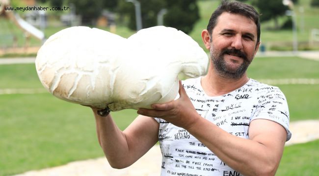 Bağbaşı Yaylası'nda bulunan dev mantar şaşırttı