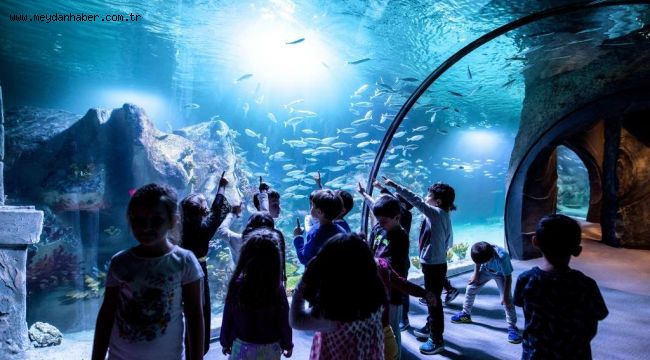 ''Ben Bir Balık Olsam'' Konulu Ödüllü Resim Yarışmasına Binlerce Eser Katıldı!